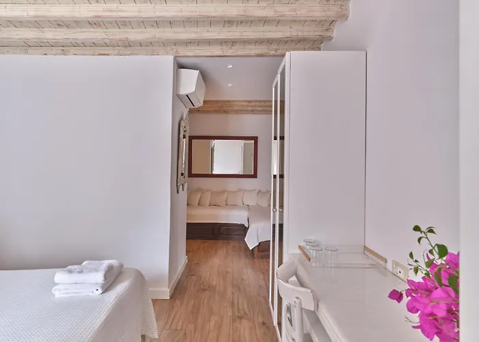 لا ميزون كالوغيرا بيت ضيافة Mykonos Town